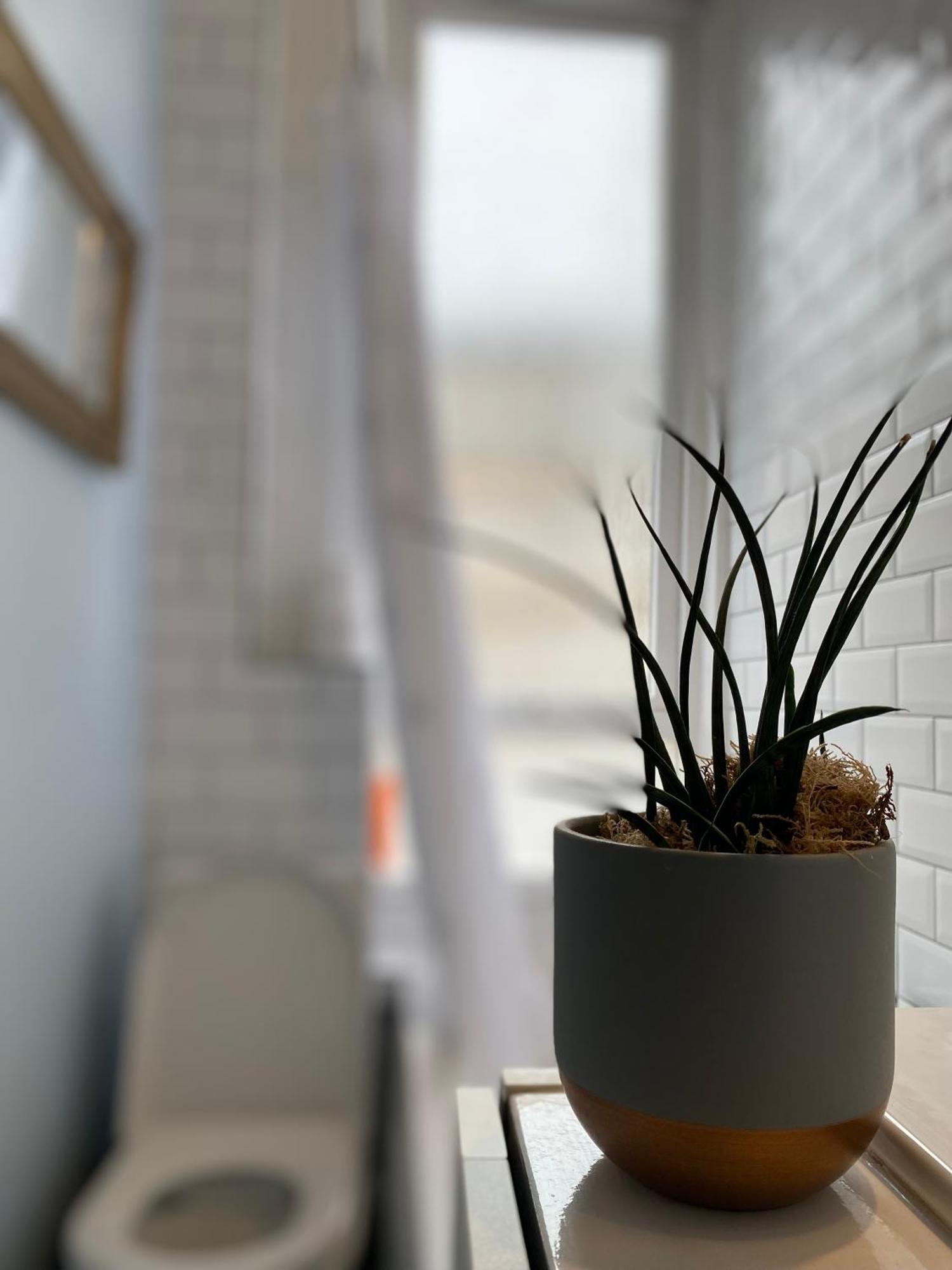 Charming 1 Bedroom Edinburgh Apartment المظهر الخارجي الصورة